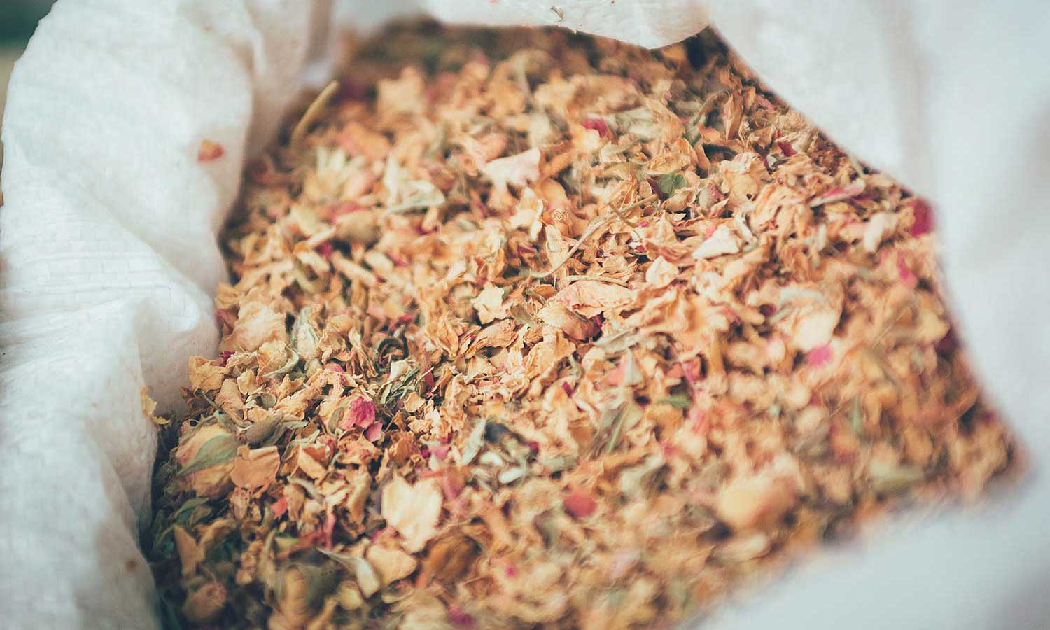 Botánicos que utilizamos en la elaboración del Vermut San Bernabé