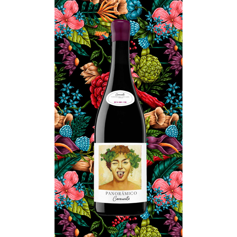 PANORÁMICO Caracuesta