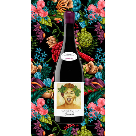 PANORÁMICO Caracuesta